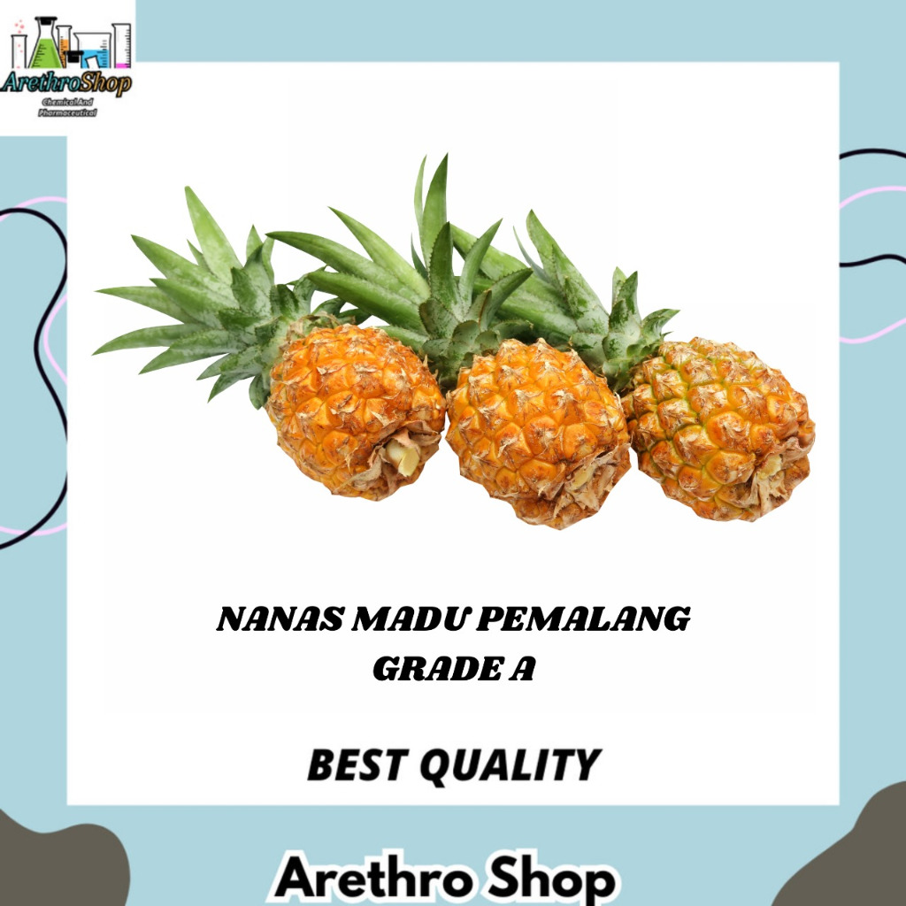 

NANAS MADU PEMALANG GRADE A DAN B 1 PCS BEST SELLER