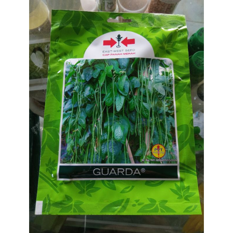 BENIH KACANG PANJANG GARDA / GUARDA