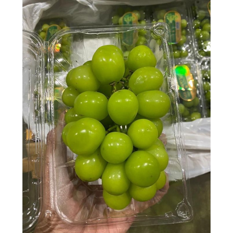 

ANGGUR MUSCAT MANIS NON BIJI PACK 500GRAM