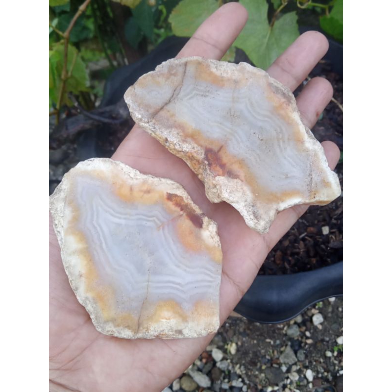 ✅ 2 pcs Batu Cimpago motif Sulaiman - Pesisir Selatan ( Bahan Batu Akik Natural asli Sumatera Barat 