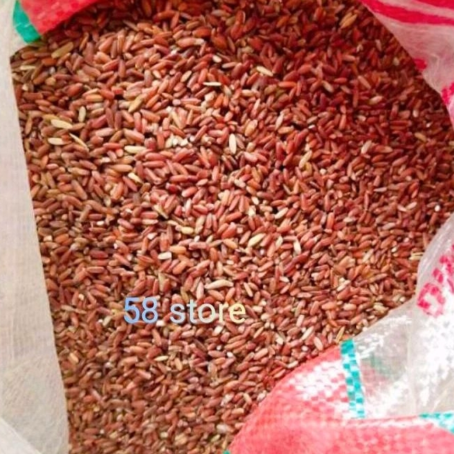 

Beras merah murah berkualitas 1 kg untuk pakan ternak