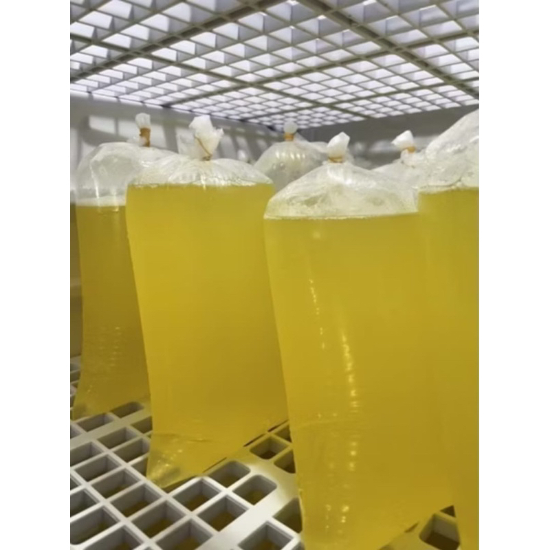 

Putih Telur Penambah Protein