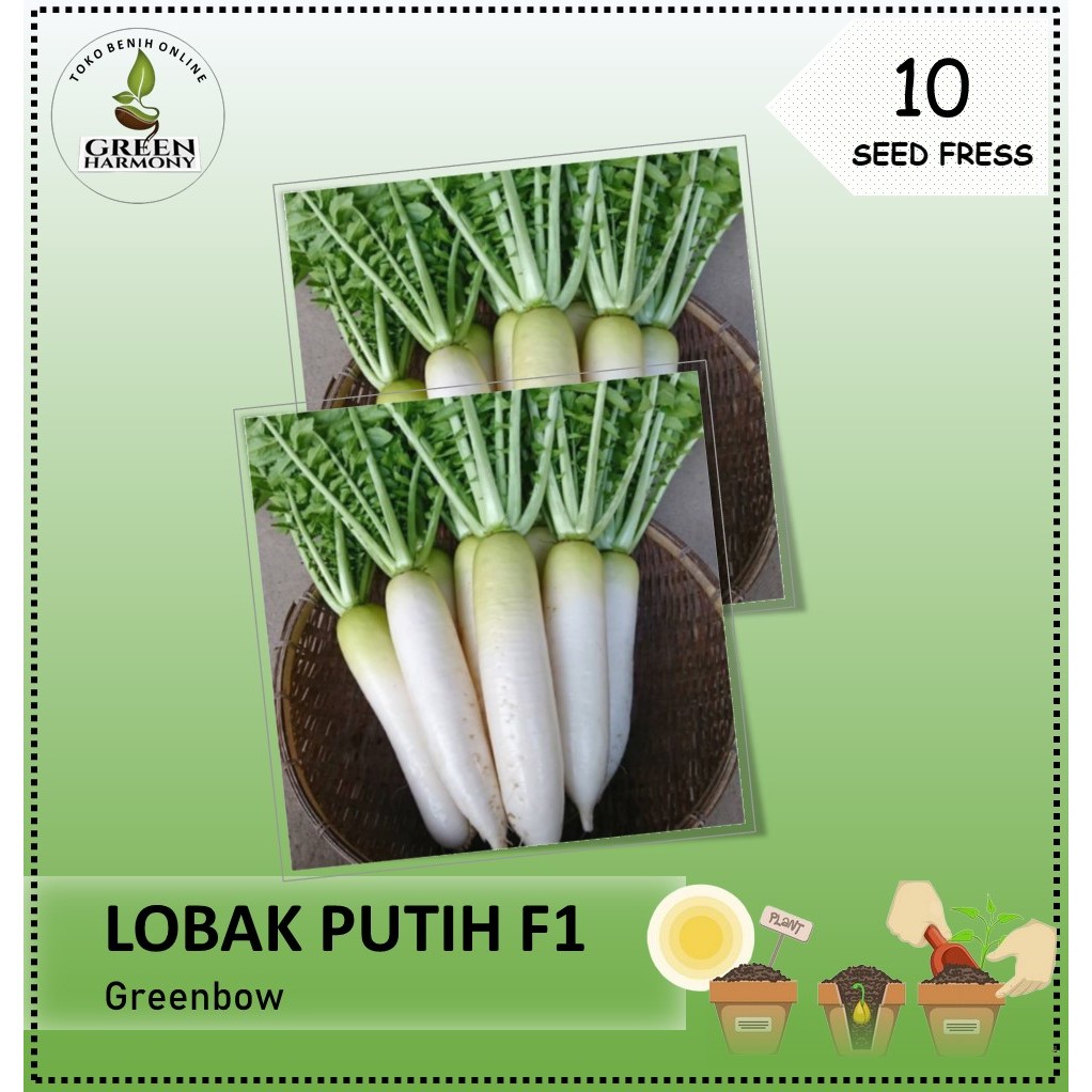 10 Biji - Benih Lobak Putih GREENBOW F1