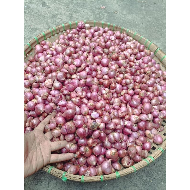 

Bawang Merah Kemasan 1kg//Bisa COD