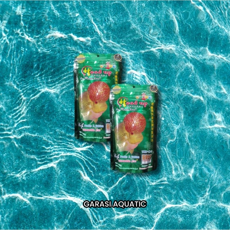 Okiko hijau |okiko head up | pakan louhan