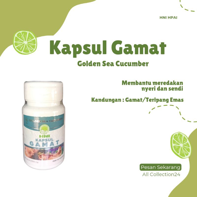 Kapsul Gamat HNI HPAI ORIGINAL