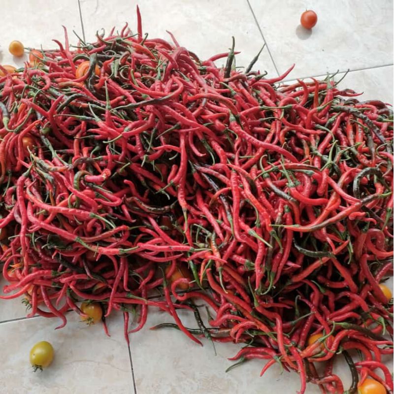 

cabe / cabai keriting 500g