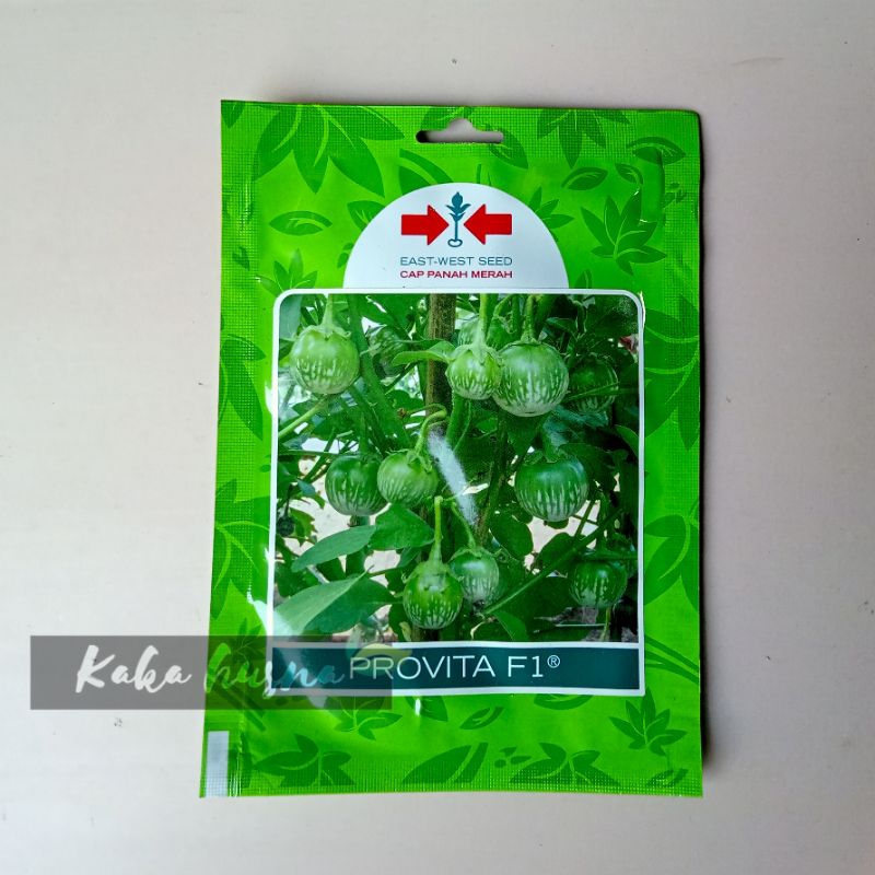 BENIH TERONG HIJAU BULAT MANIS PROVITA F1 CAP PANAH MERAH