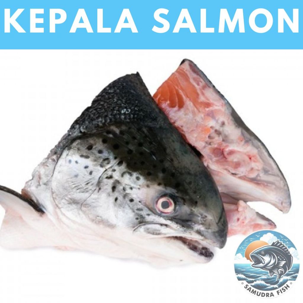 

KEPALA SALMON GRADE A UTUH