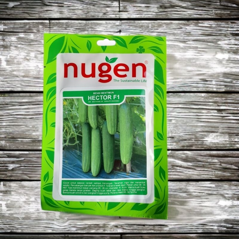 Benih Timun Hector 20 gram timun nugen
