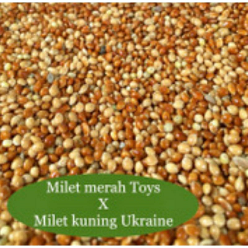 MILET Mixed MILET Campur Merah Dan Putih Bersih Pakan Burung