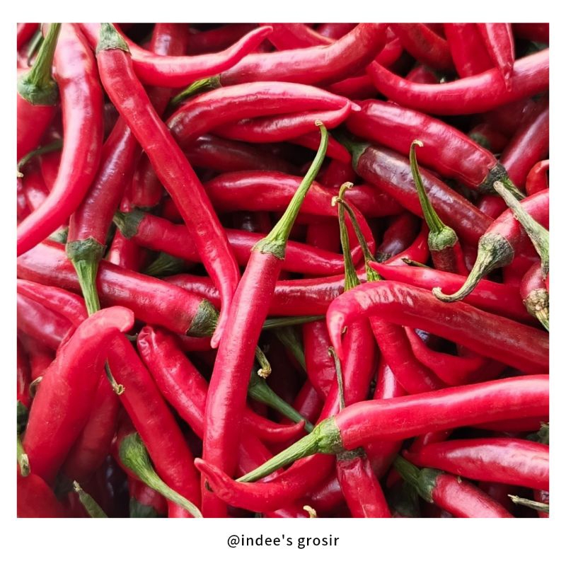 

Cabai Merah Besar, 1/4kg, 1/2kg, 1kg