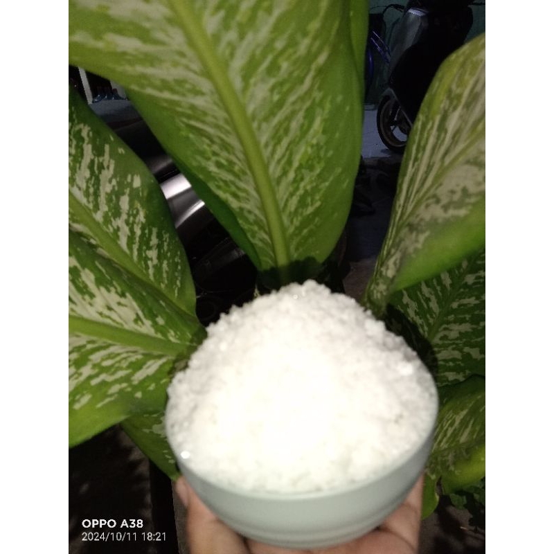 

Garam krosok 1 kg