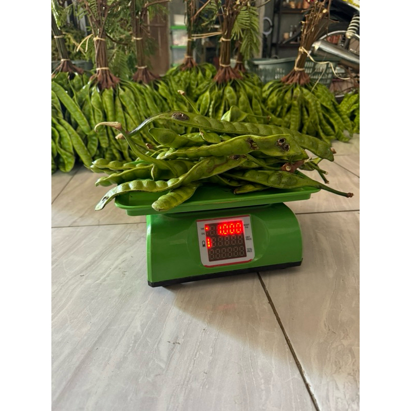 

PETE SORTIR BERAT 1Kg