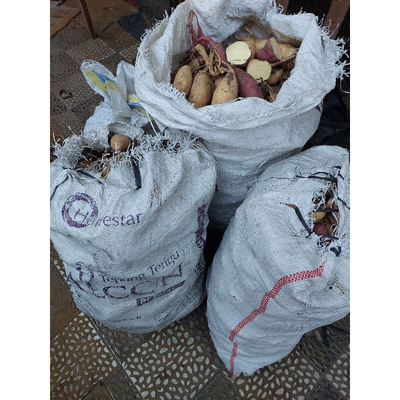 

ubi jalar#sela madu#manis dan legit#harga per kilo