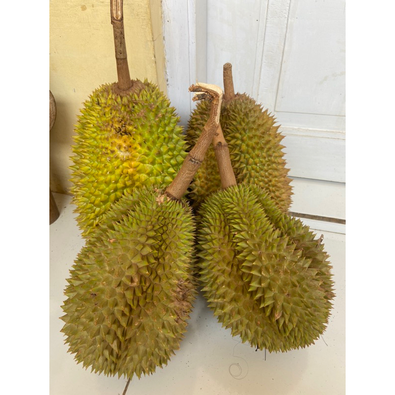 

Durian lokal doro
