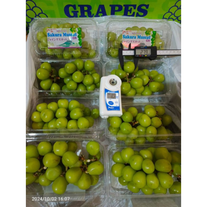 

Anggur Import @1pack/500gram