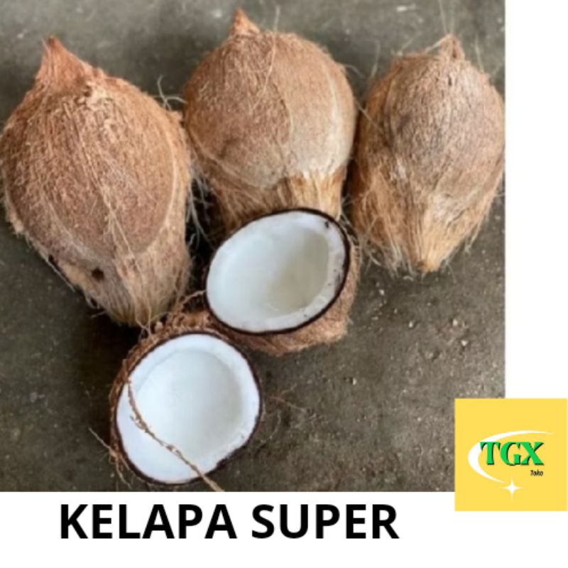 

PAKET 10 BIJI | KELAPA | KELAPA SUDAH KUPAS | KELAPA TUA