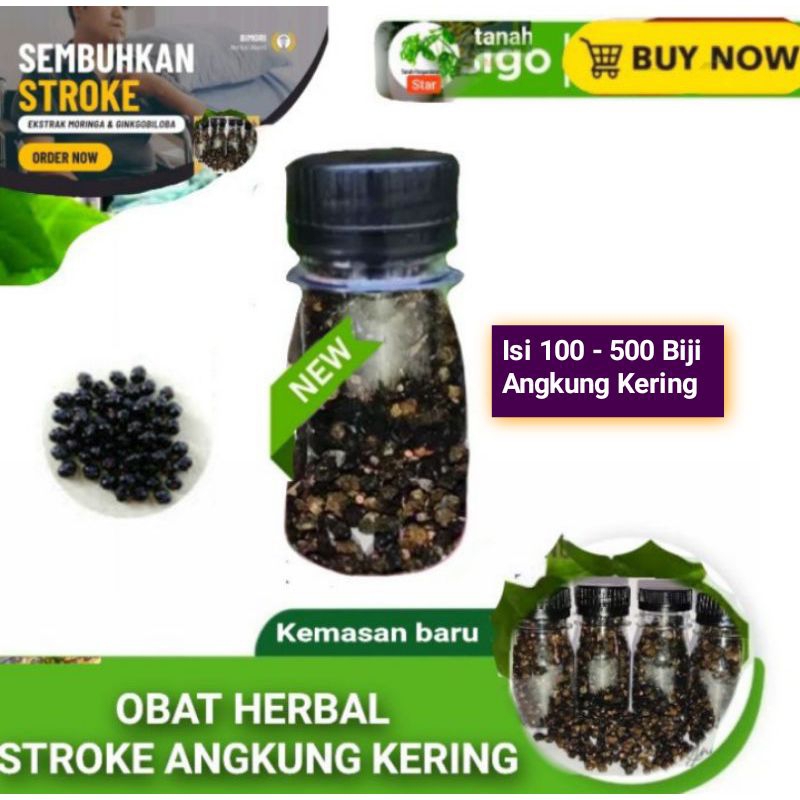 Buah Angkung Kering Obat Herbal Stroke Panuh Hasiat Kesehatan