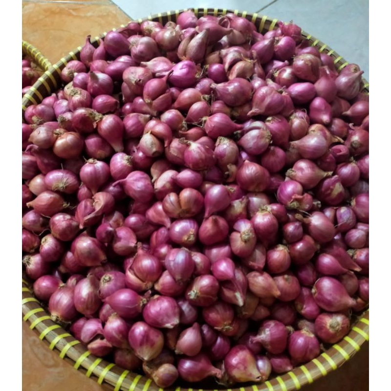 

Bawang Merah 1kg kualitas jempol fresh kering lokal/termurah