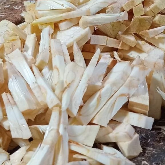 

Nangka Potong | Harga Per Kilo