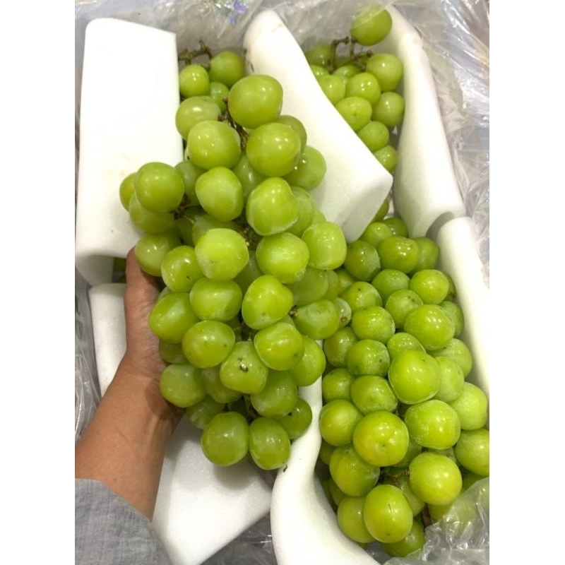 

anggur Muscat loss 1kg a crispy segarr