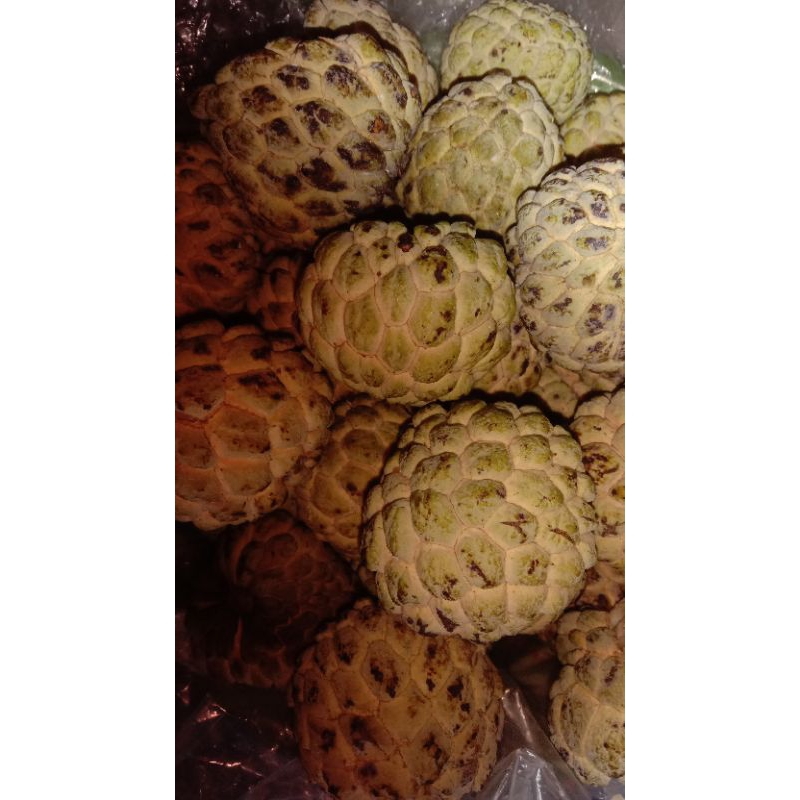 

makanan ringan