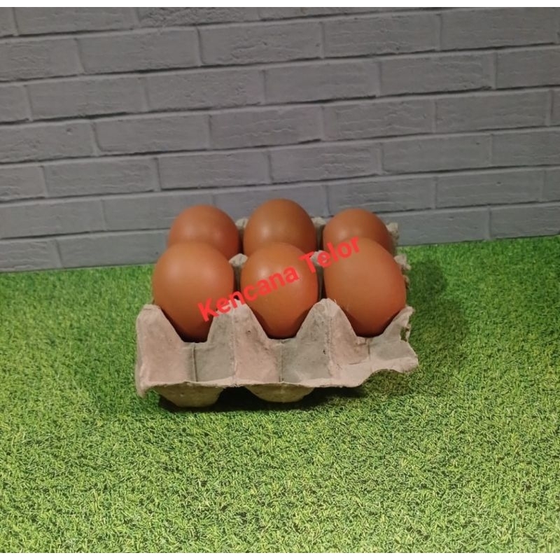 

TELUR AYAM NEGERI ISI 6 BUTIR