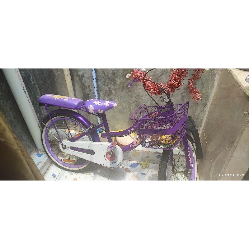 sepeda united anak 20'