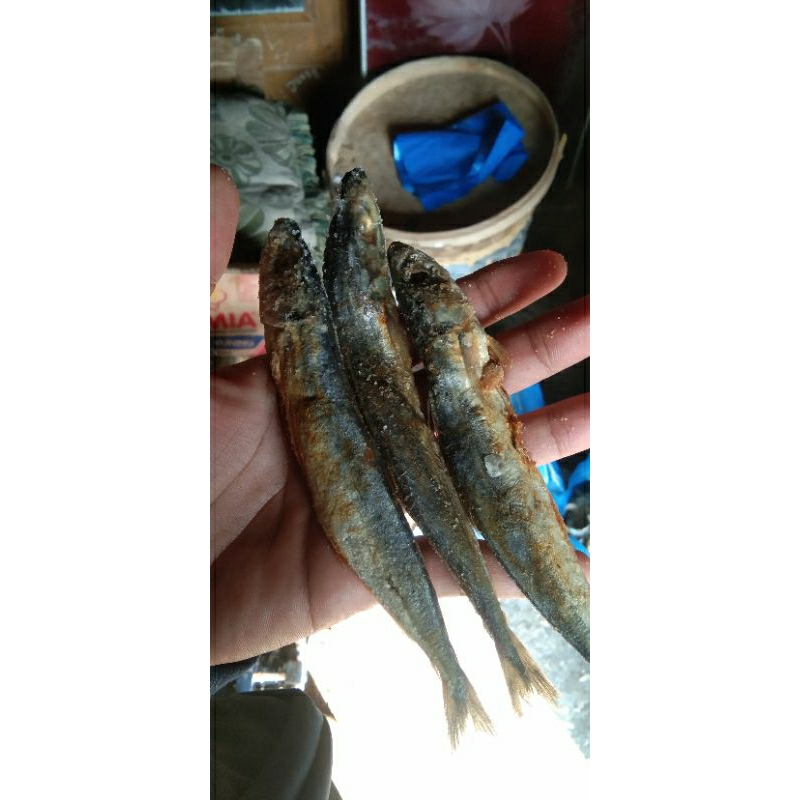 

ikan asin layang/klotok asin