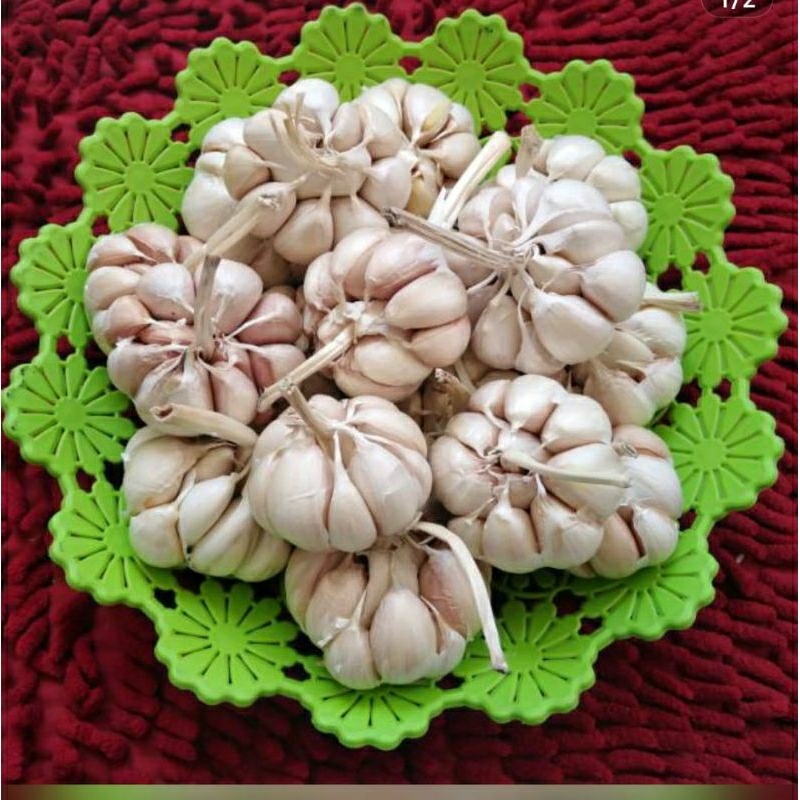 

Bawang Putih 1kg fress