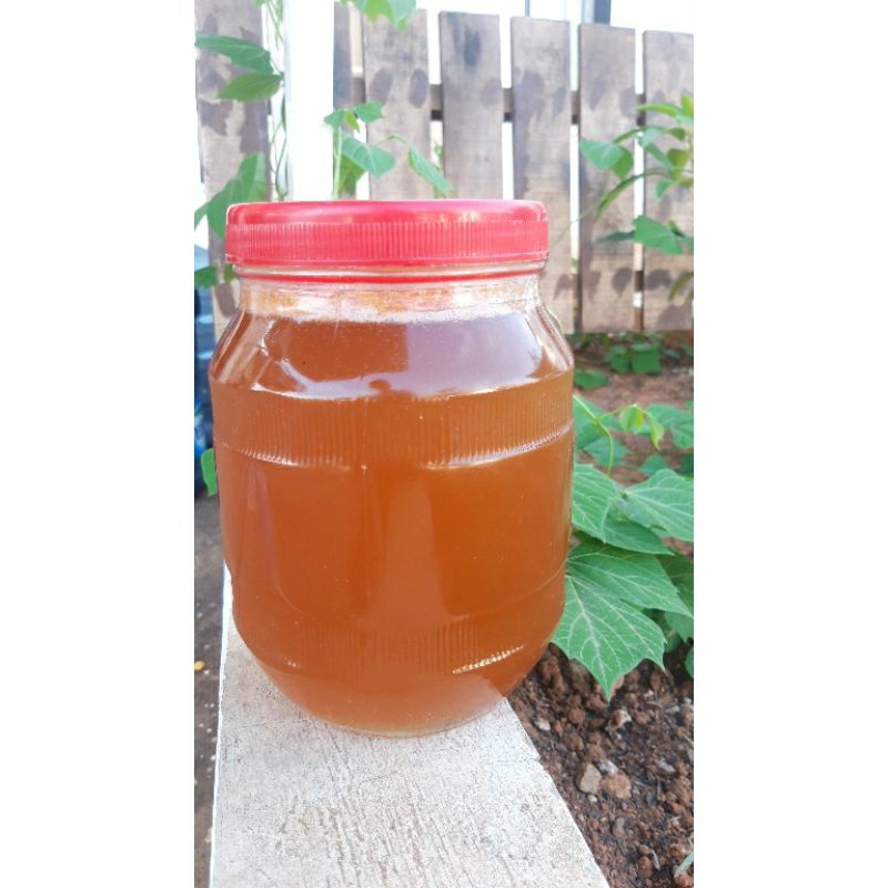 

Madu hutan asli 100% tanpa campuran