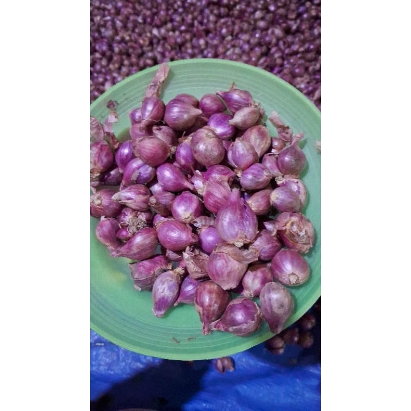 

bawang merah tanggung 1kg fresh