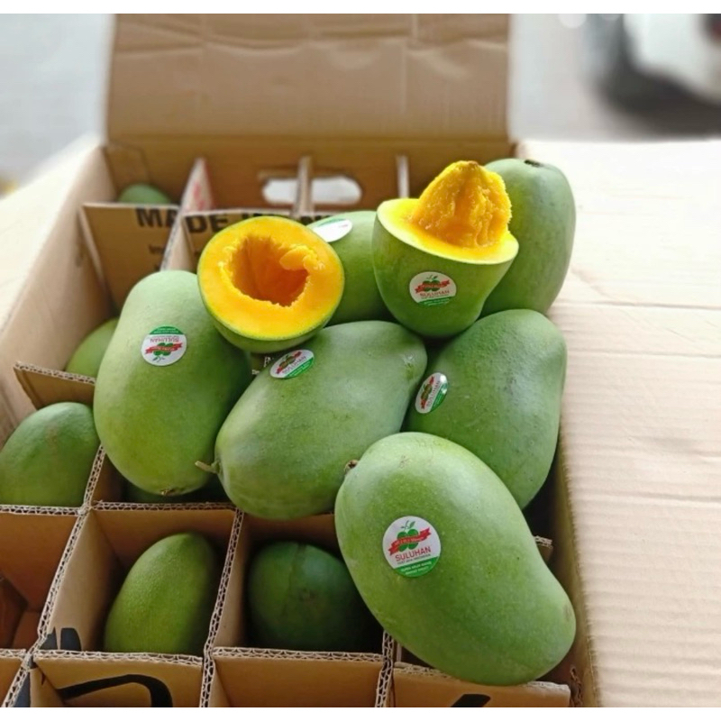 

mangga alpukat harumanis 10kg