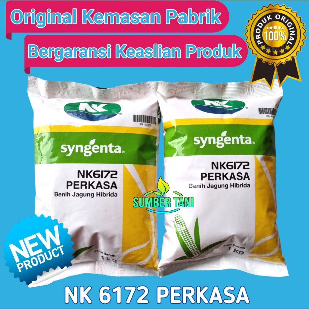 

Benih Jagung NK 6172 | NK PERKASA - 1Kg (EXP JUNI-2025)