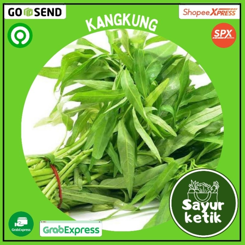 

kangkung Per Ikat