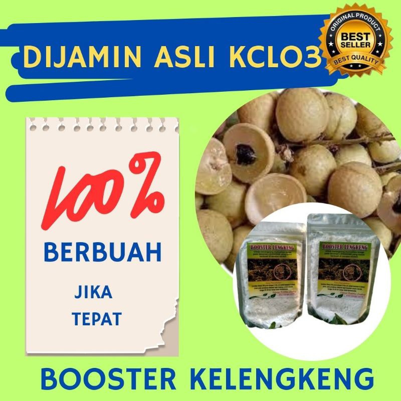 Booster kelengkeng cepat berbuah, booster kelengkeng kclo3 murni, Booster kelengkeng murni