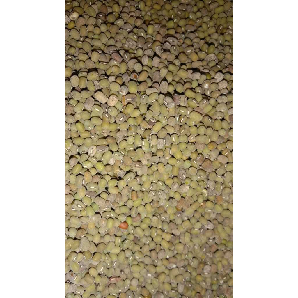 

Kacang Hijau Kualitas Super