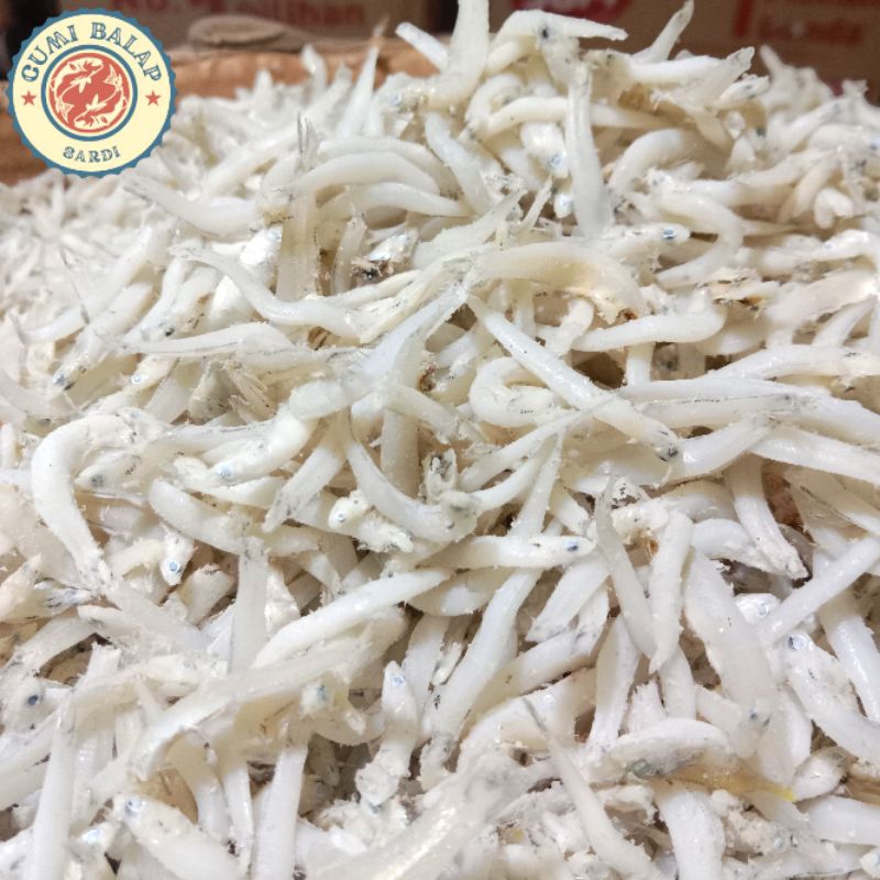 

teri toge/teri medan toge berkualitas