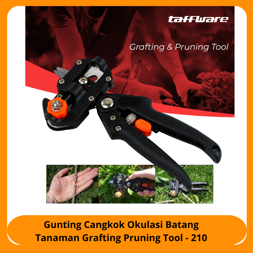 Gunting Cangkok Okulasi Batang Tanaman Grafting Pruning Tool - 210 / perkakas / alat perkebunan