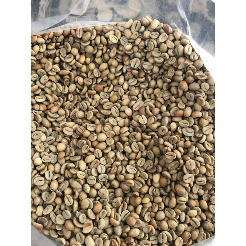 

Green Bean Arabika Natural Anaerobic Gunung Wayang/ Biji Kopi Mentah 1kg