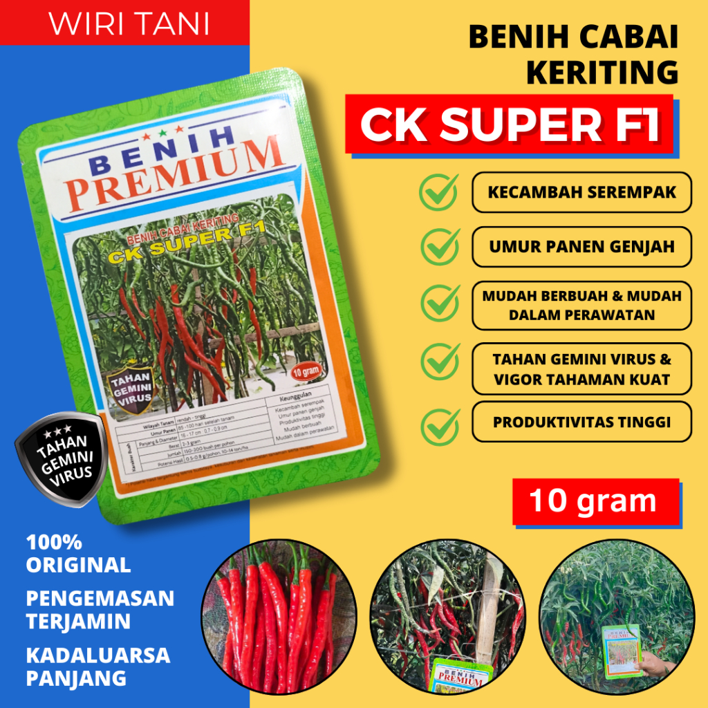 (10 gram) Benih Bibit Cabai Keriting Tahan Virus CK SUPER F1 (±2.200 biji) | cabai lebat perawatan m