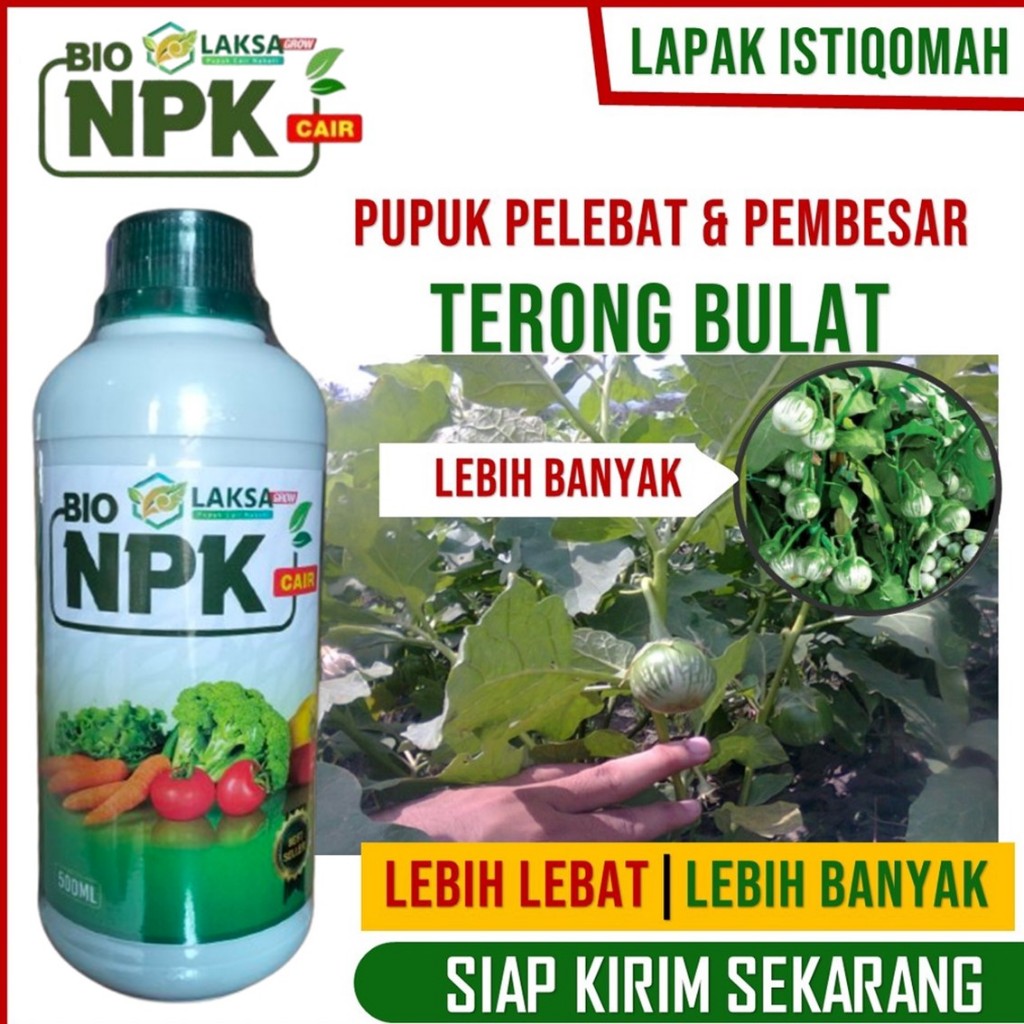 (ASLI MURAH) Obat Pelebat Terong Bulat Bobot Berat dan Besar Bio NPK LAKSA Tahan Musim Hujan, Pupuk 