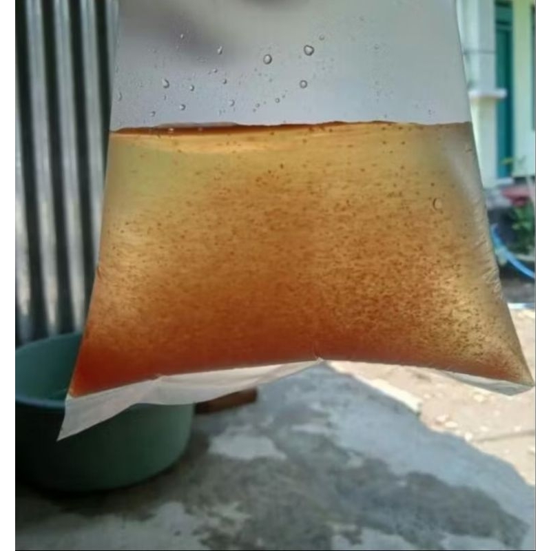 starter kutu air monia sp