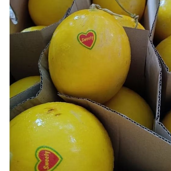 

Buah Melon Golden