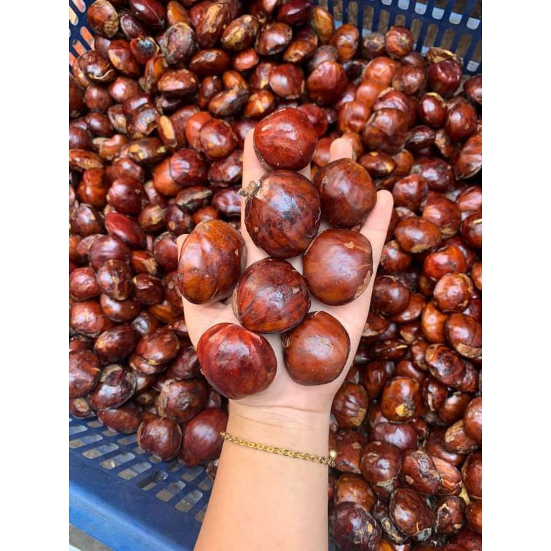 

JENGKOL TUA SUPER LEGIT MANTAP LULUS SORTIR