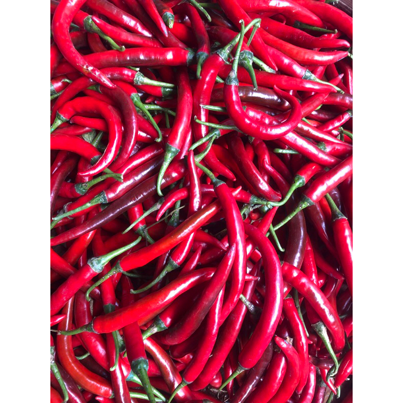 

Cabe / cabai merah super 500 gr