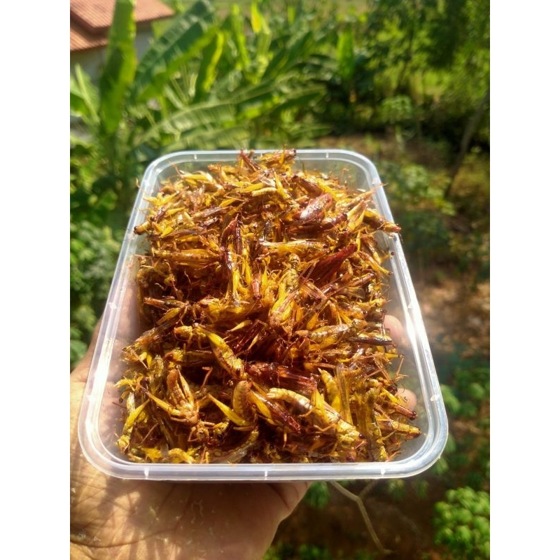 

belang goreng cemilan viral kriuk kriuk gurih