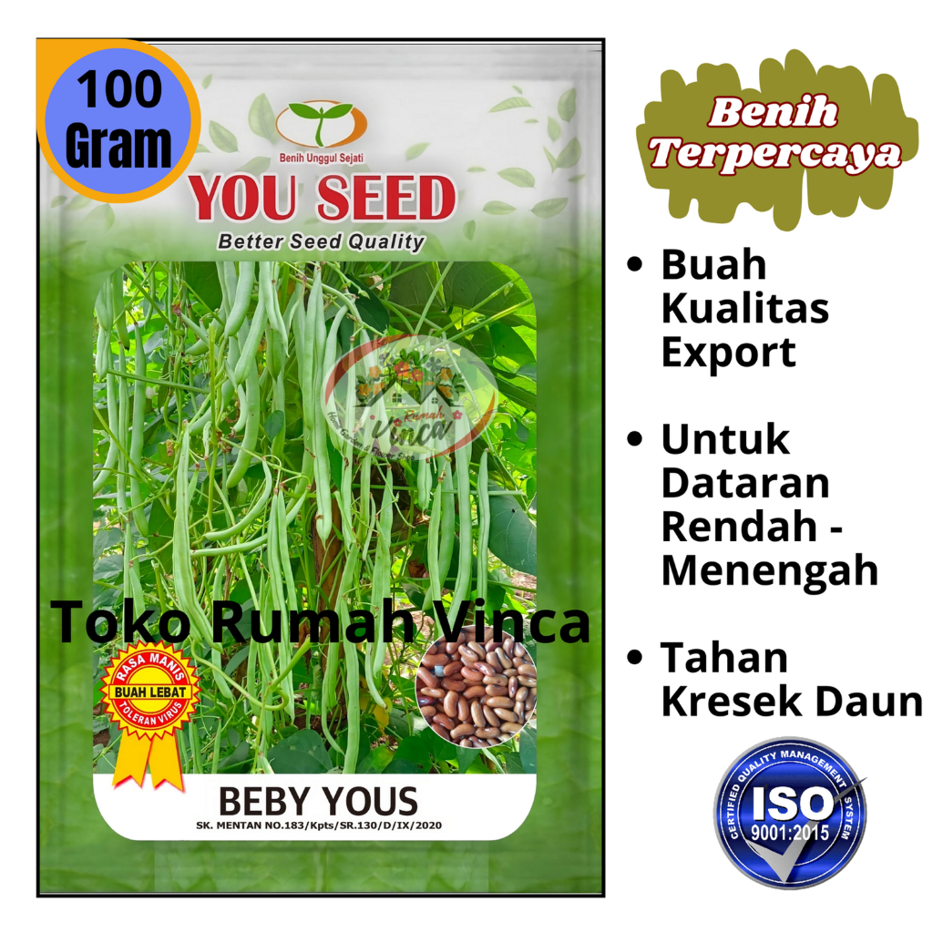 Bibit Benih Buncis Beby Unggul Baby Yous 100g dari Youseed