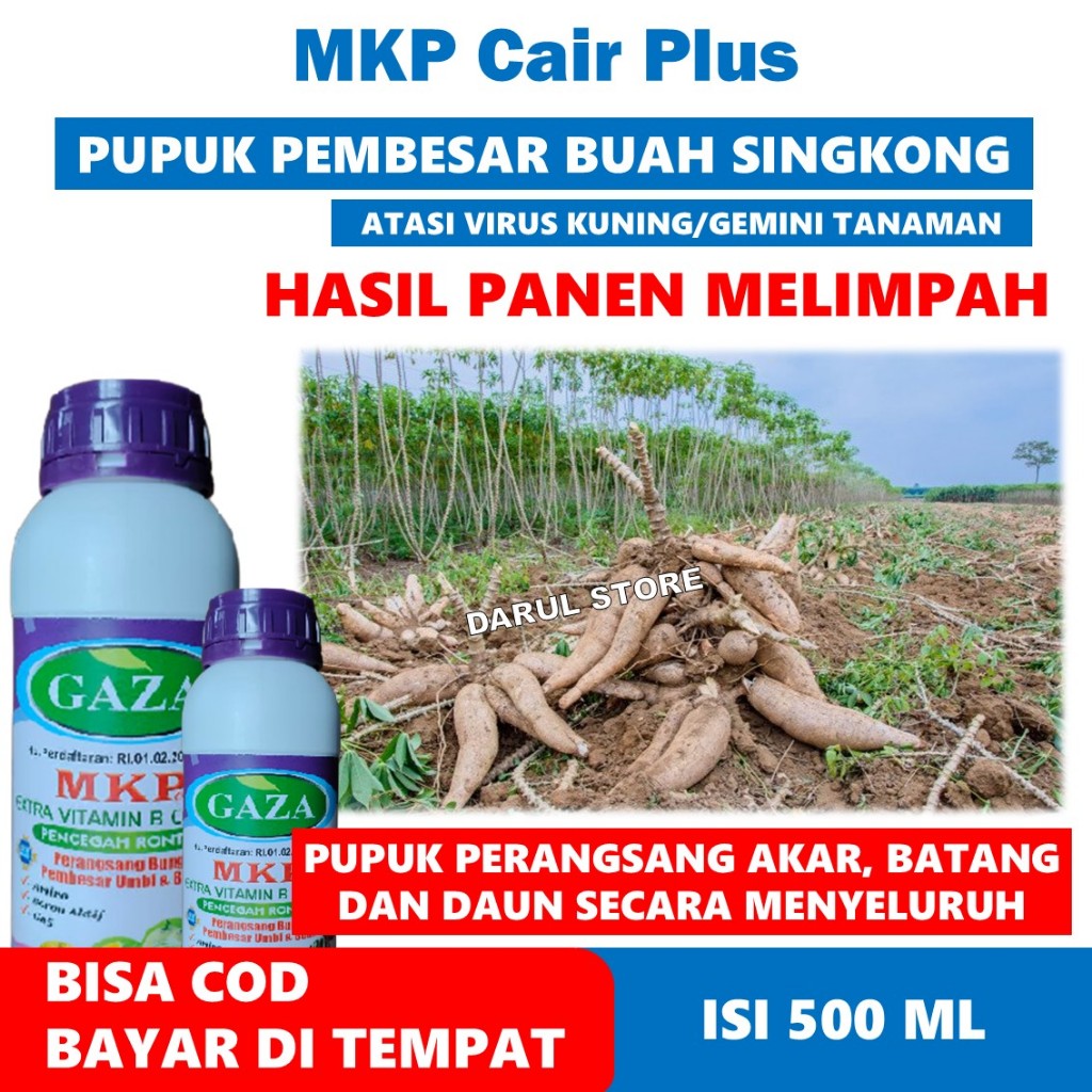 OBAT PELEBAT TANAMAN SINGKONG & Jenis Singkong Lainnya MKP GAZA - Obat Penyubur Singkong, Pupuk Pera